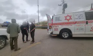 Арабы в масках напали на пастуха в Гуш-Эционе. Видео