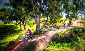 סינגל בארי נפתח מחדש לרוכבים