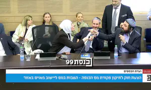 "אתה חצוף ומפגר", "את טרוריסטית מחמאס"