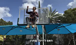 צפו: סרטוני ההכתרות שכבשו את הרשת