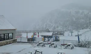 צפו: בוקר לבן בחרמון, 5 ס"מ של שלג