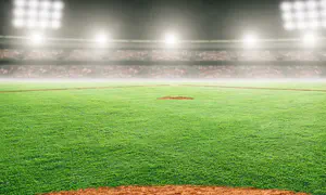 Why all the Jew-hatred?