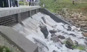 צפו: הזרמת מים מותפלים לכנרת