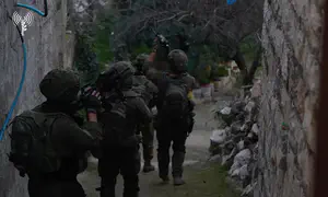 תגבור רחב היקף באוגדת איו"ש