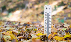 מזג האוויר: תחול ירידה קלה בטמפרטורות