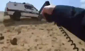 צפו: נהג נמלט מהמשטרה ופגע בעדר כבשים