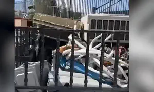 ביזה שפלה בדימונה: נתפס "על חם"