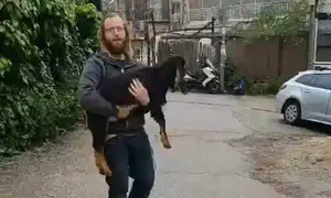 ארבעה יהודים נעצרו בדרכם להר הבית עם גדי