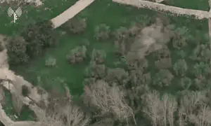 הסתתרו בשיחים, ניסו להימלט - וחוסלו