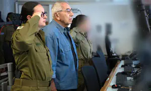 Son of survivors and granddaughter activate memorial siren