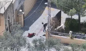 3 מחבלי חיזבאללה נכנעו לסיירת גבעתי