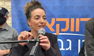 'הגיע הזמן למשבר חוקתי בישראל'