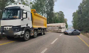 Доктор Дорит Дрор-Хадар погибла, водитель имел 185 нарушений ПДД