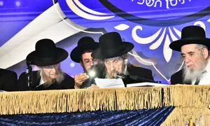 Haredi rabbi slams: 'They are persecuting Torah learners'