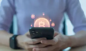 קציני צה"ל ומשטרה נאשמים בגניבת מיליונים