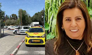 דרס למוות את גרושתו סוזי ינר וקפץ אל מותו