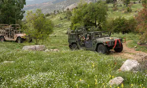 סוכלו עמדות שיגור שהוסתרו בסבך הלבנוני