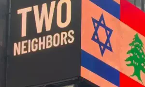 Израильская кампания, вызвавшая резонанс в Нью-Йорке