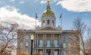 NH lawmaker faces probe over ‘final solution’ remark