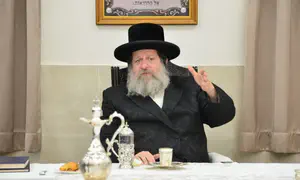 המאמר החריף של הרבי משאץ