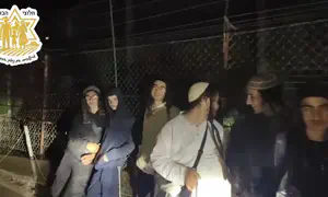 Правые активисты приковала себя к забору на сирийской границе