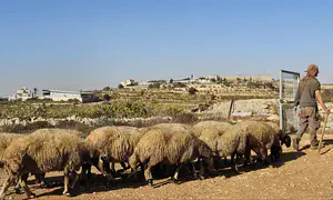רצף יהודי היסטורי נרקם בין חברון לירושלים