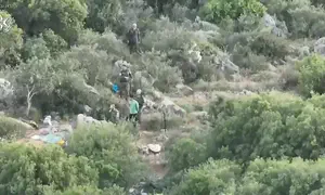 מסתור השב"חים שנחשף בתוך היער