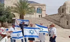 Подняла флаг, как Бен-Гвир, и была удалена с Храмовой горы