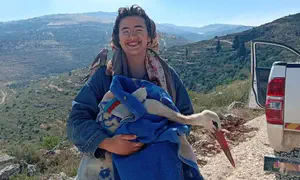 Injured stork rescued and treated by Hilltop residents