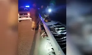 סוכלה הסתננות המונית דרך קו התפר