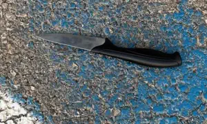 Terrorist neutralized after trying to stab Border Police officer