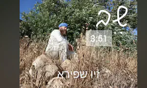 זיו שפירא חושף את המסע הנפשי