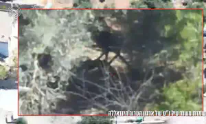 הוסתר בין השיחים: משגר נ"ט נחשף והושמד