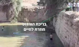 בני הנוער מחזירים חיים לבריכה