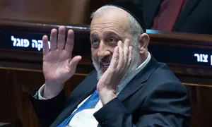 «Я горжусь ими»: трое внуков Дери - уклонисты