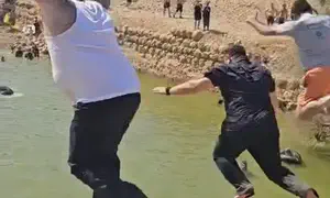 השר, הח"כ והאב השכול קפצו יחד לבריכה