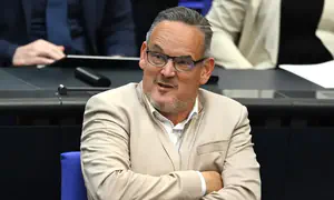 AfD lawmaker faces backlash after Nazi salute