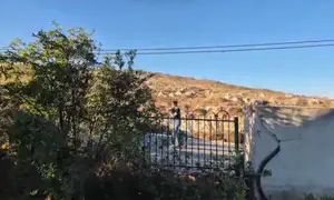 הפתעה לצבי סוכות בישוב יצהר