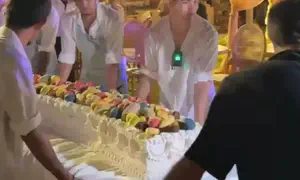 עוגת הענק שהפתיעה בחתונת הכוכבת
