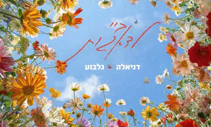 המסר של דניאלה גלבוע - בשיר חדש