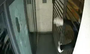 תיעוד: דלת מערכת "הארץ" נופצה