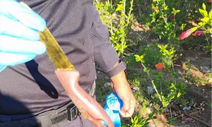 ניסתה להיפטר מהסכין במהלך הבידוק - ונלכדה