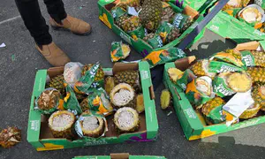 COGAT thwarts attempt to smuggle cigarettes in pineapples