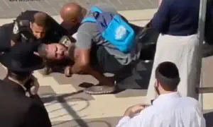 צפו: היכו אברך, אזקו אותו - וברחו מהזירה
