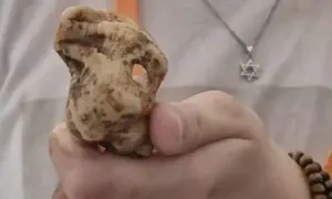 גילוי נדיר בשילה: מקווה וקונכיית ארגמן
