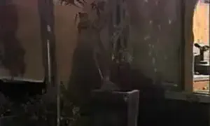 בקת"ב בנתניה, רימון בעפולה