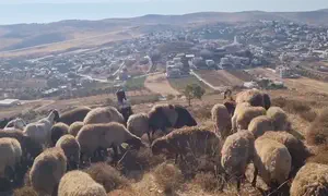 ממוקד טרור לכפר שקט