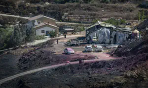 הפרטים החדשים על השריפה בחוות גלעד