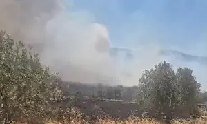 שריפה ליד אלון מורה, מטוסי כיבוי הוזנקו