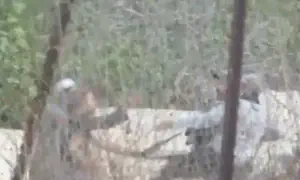 רגע חטיפת הנשק והירי בפיגוע בשומרון